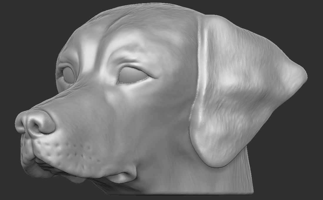 Pointer dog head for 3D printing 3D print model_16