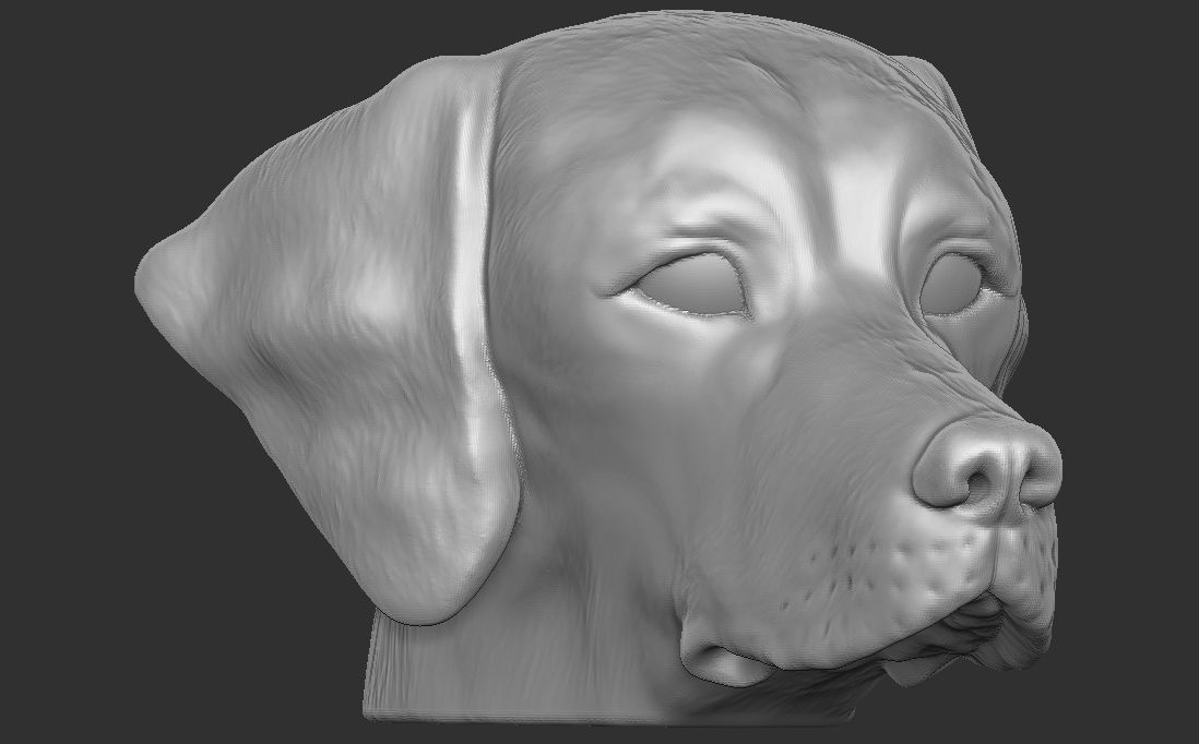 Pointer dog head for 3D printing 3D print model_7