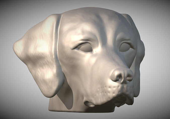 Pointer dog head for 3D printing 3D print model