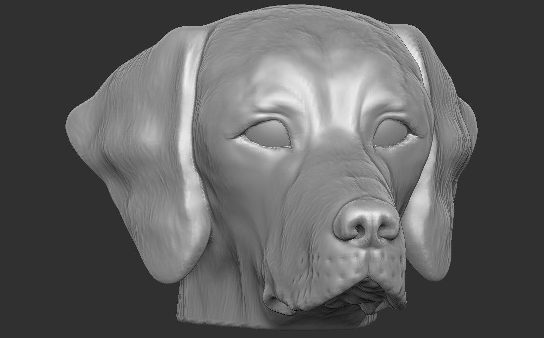 Pointer dog head for 3D printing 3D print model_6