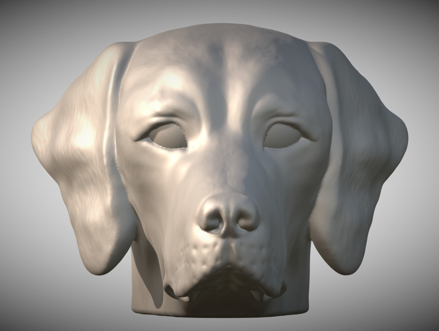 Pointer dog head for 3D printing 3D print model_2