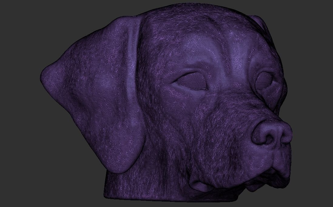 Pointer dog head for 3D printing 3D print model_22