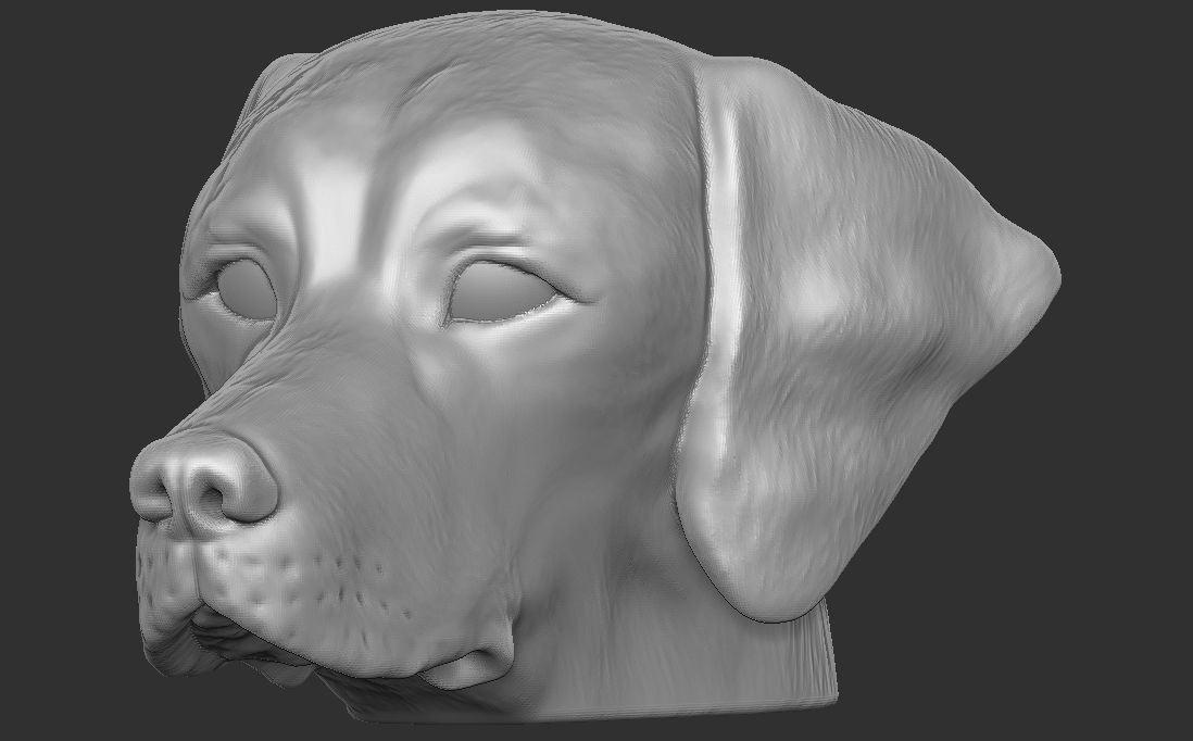 Pointer dog head for 3D printing 3D print model_4