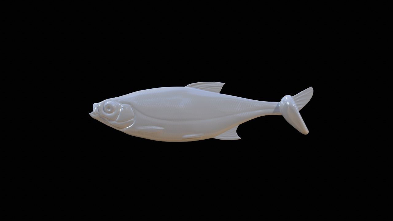Realistic soft bait fishing lure 3D print model_4