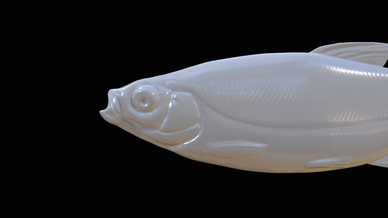 Realistic soft bait fishing lure 3D print model_5