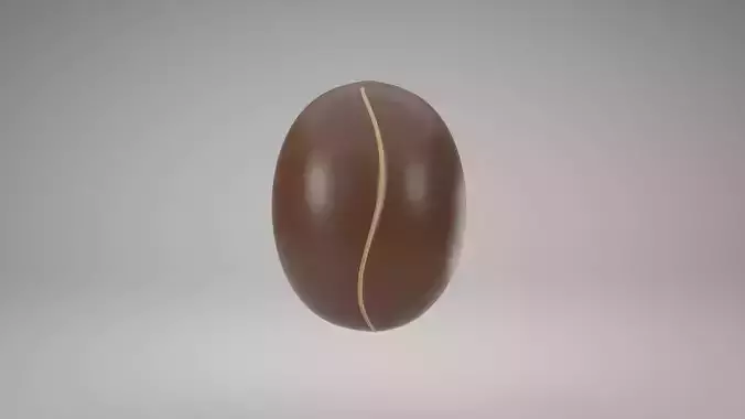 Coffee Bean 3D Model