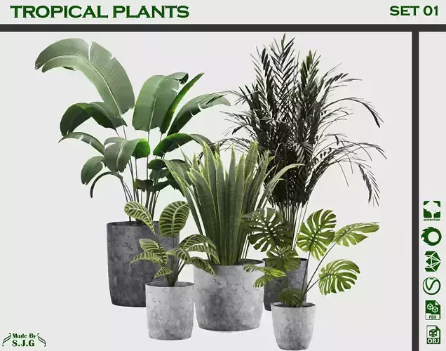 indoor plants collection of tropical plants set 01
