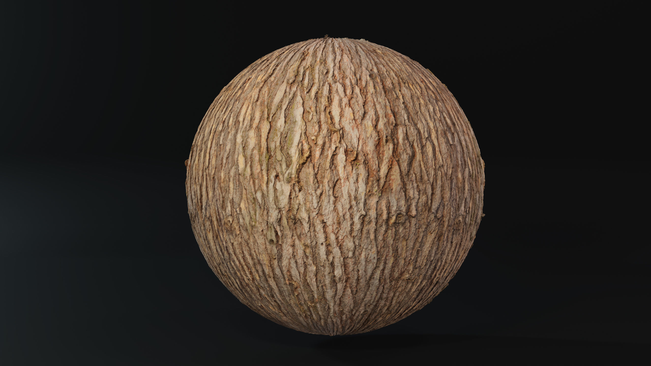 Pine Texture 8K PBR Texture_3