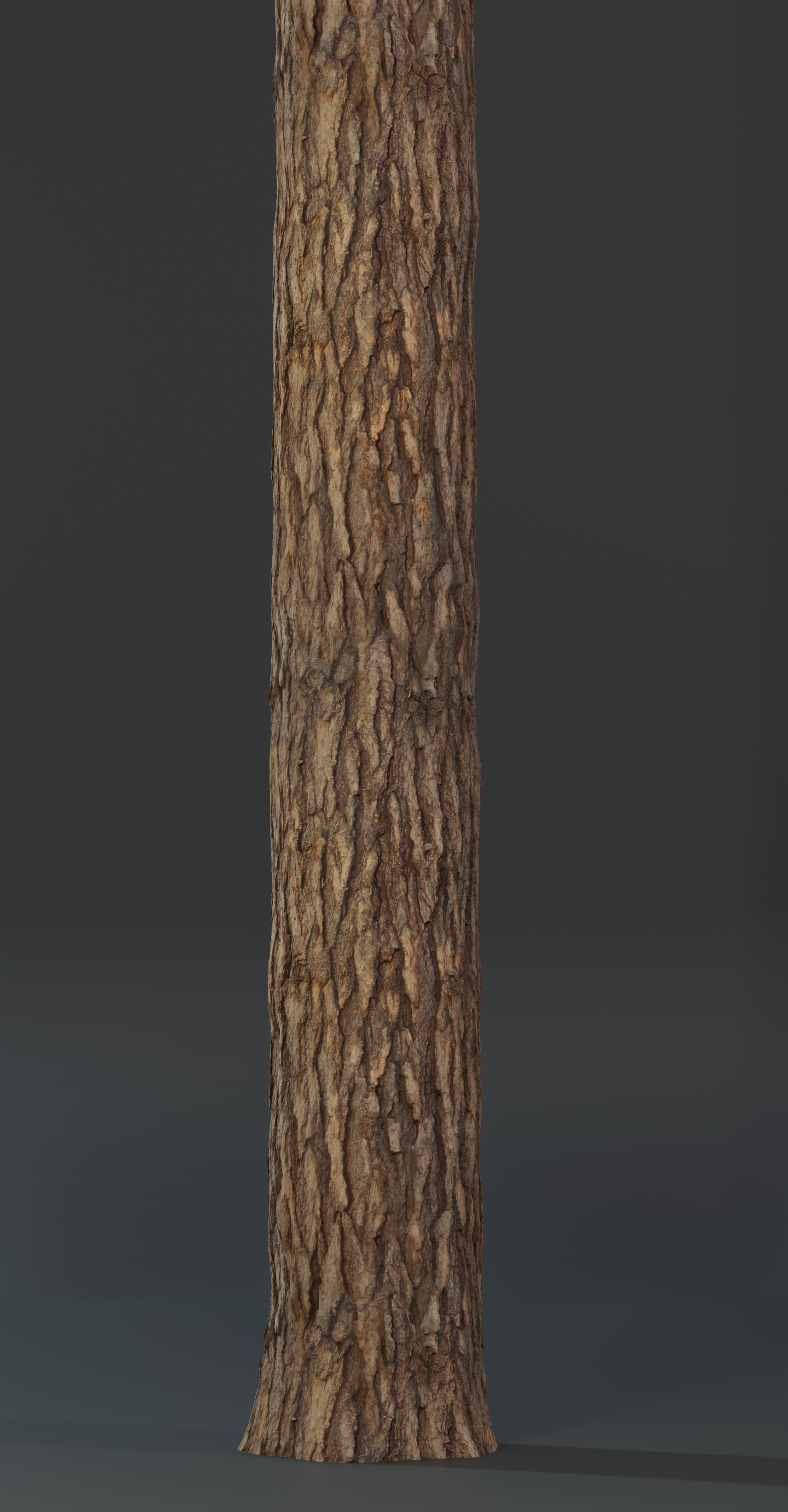 Pine Texture 8K PBR Texture_9