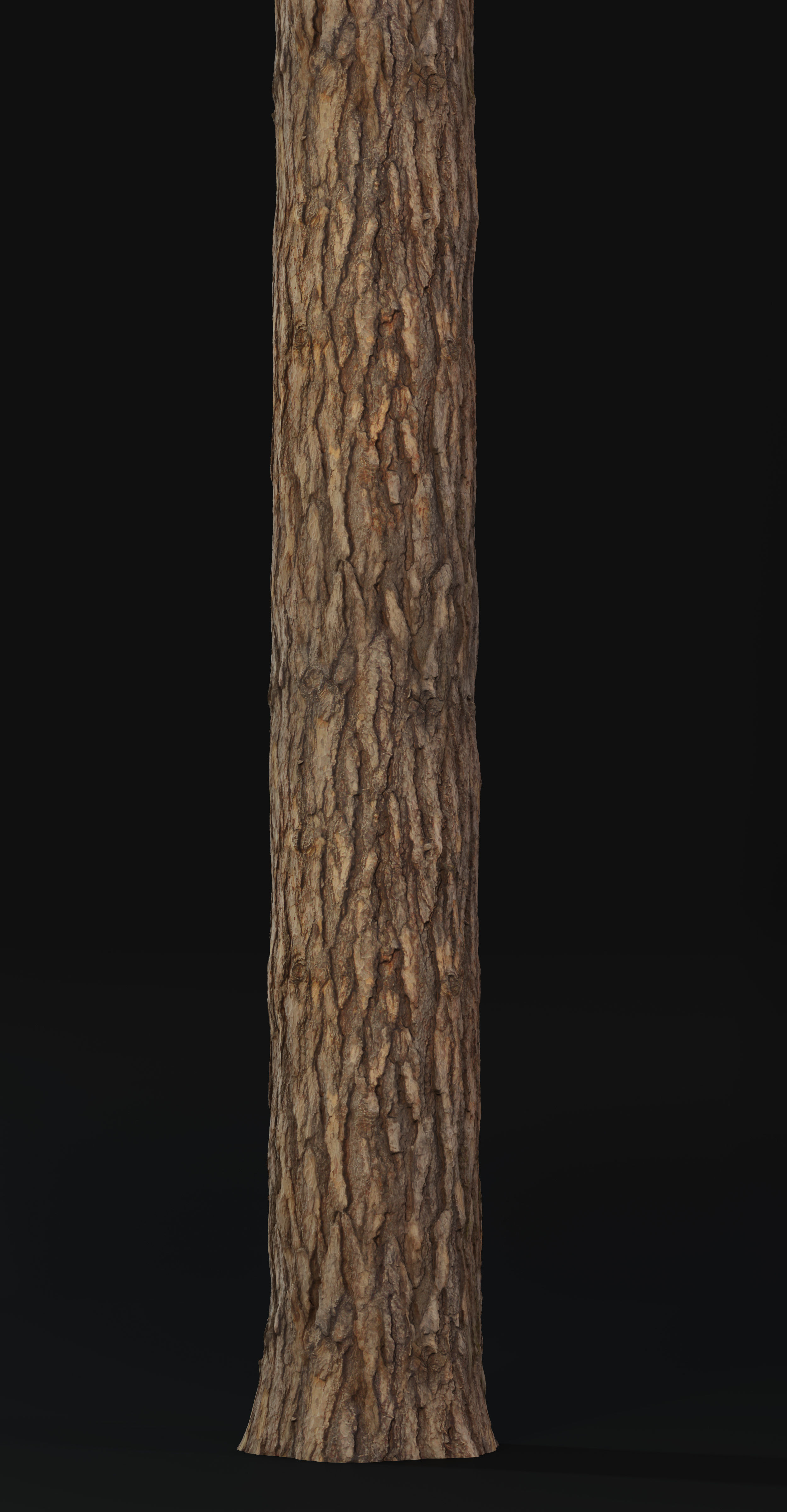 Pine Texture 8K PBR Texture_10