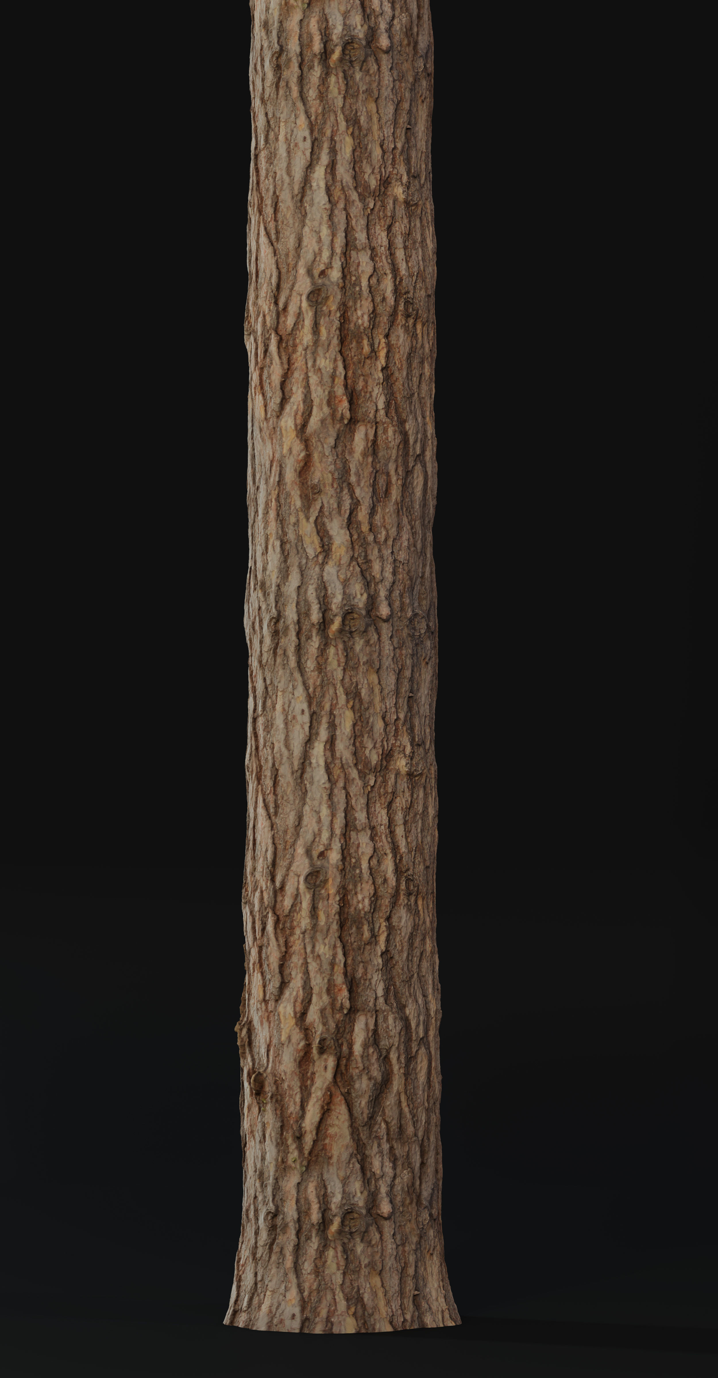 Pine Texture 8K PBR Texture_8