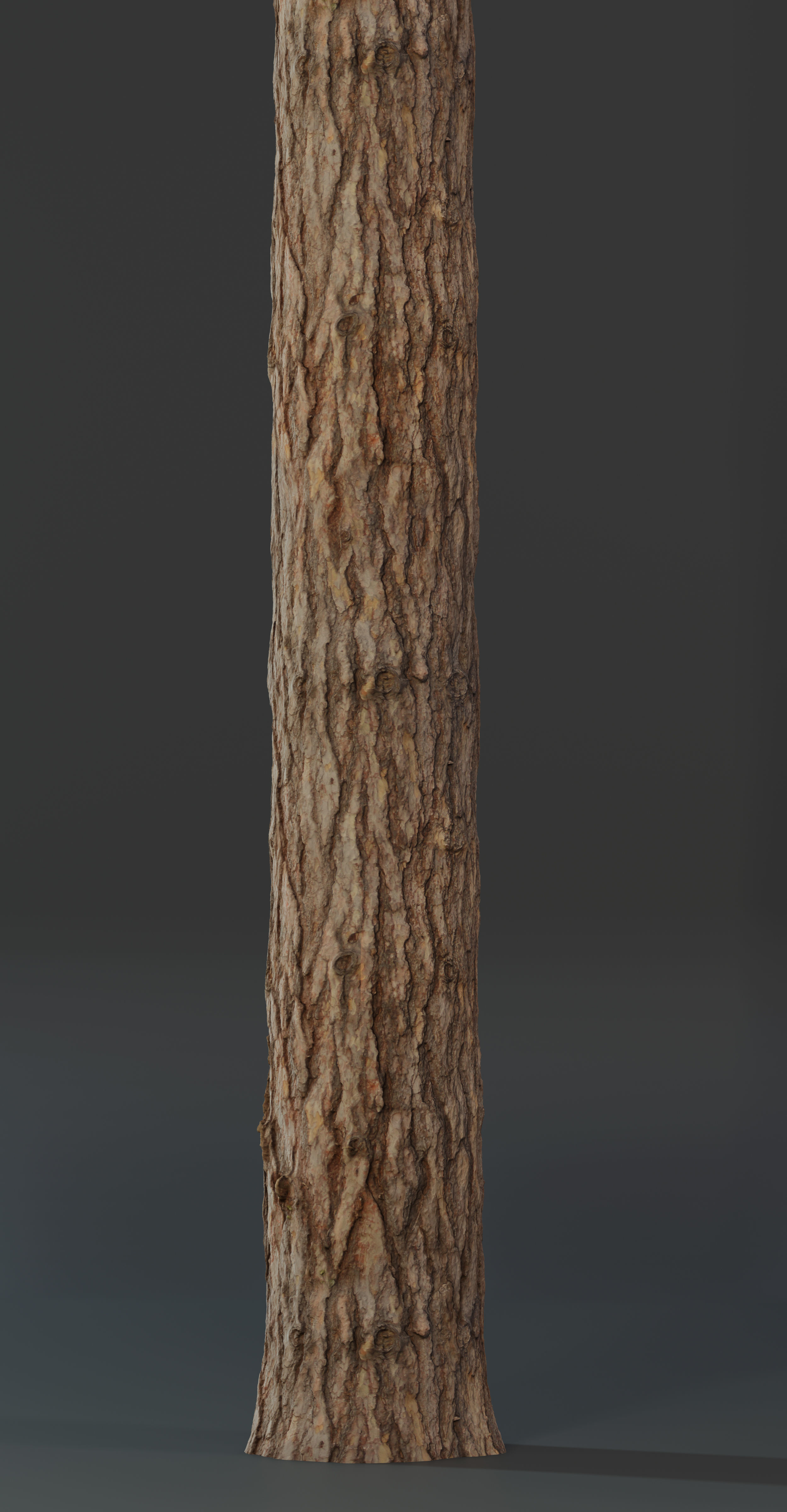 Pine Texture 8K PBR Texture_7