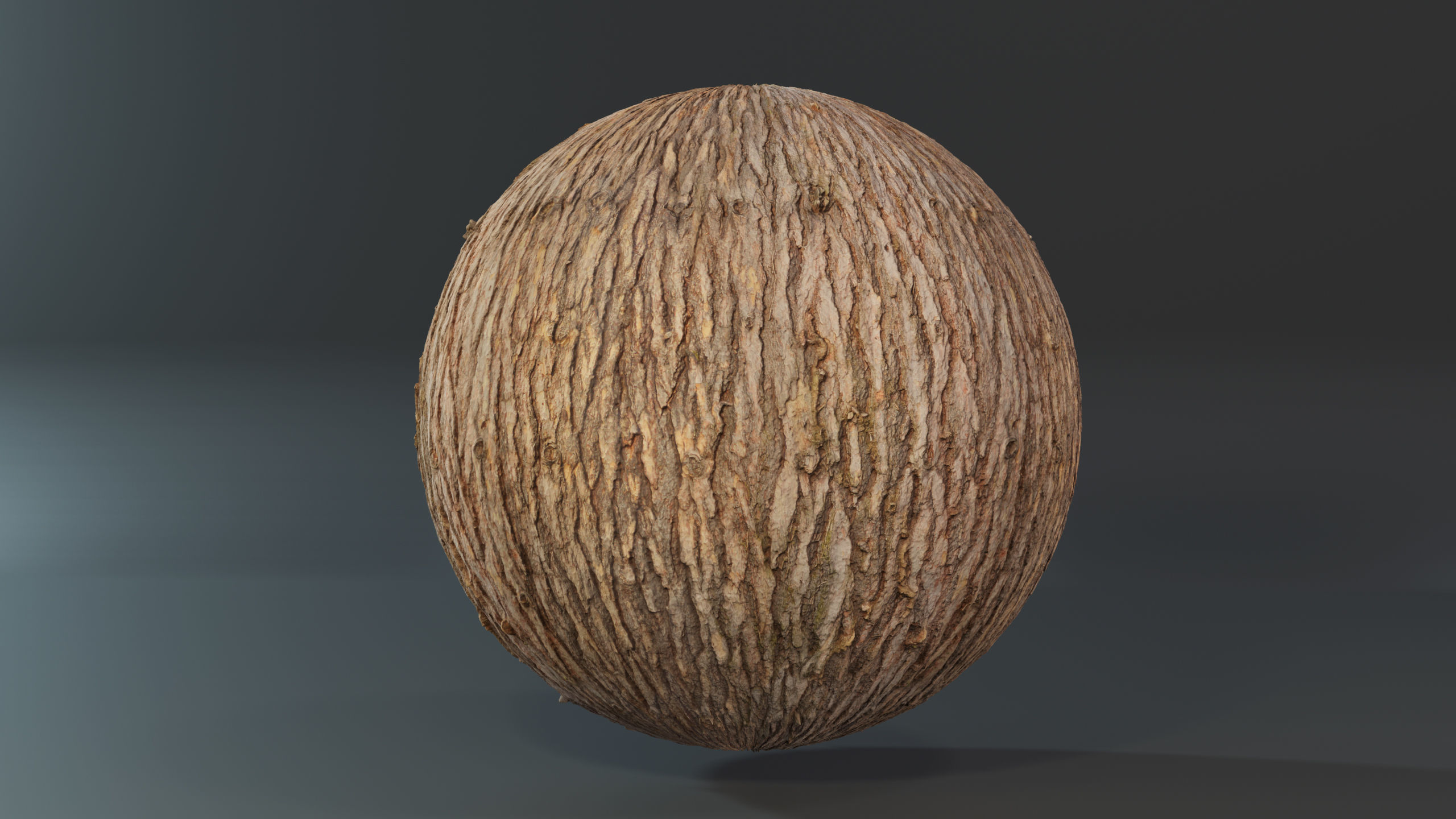 Pine Texture 8K PBR Texture_1