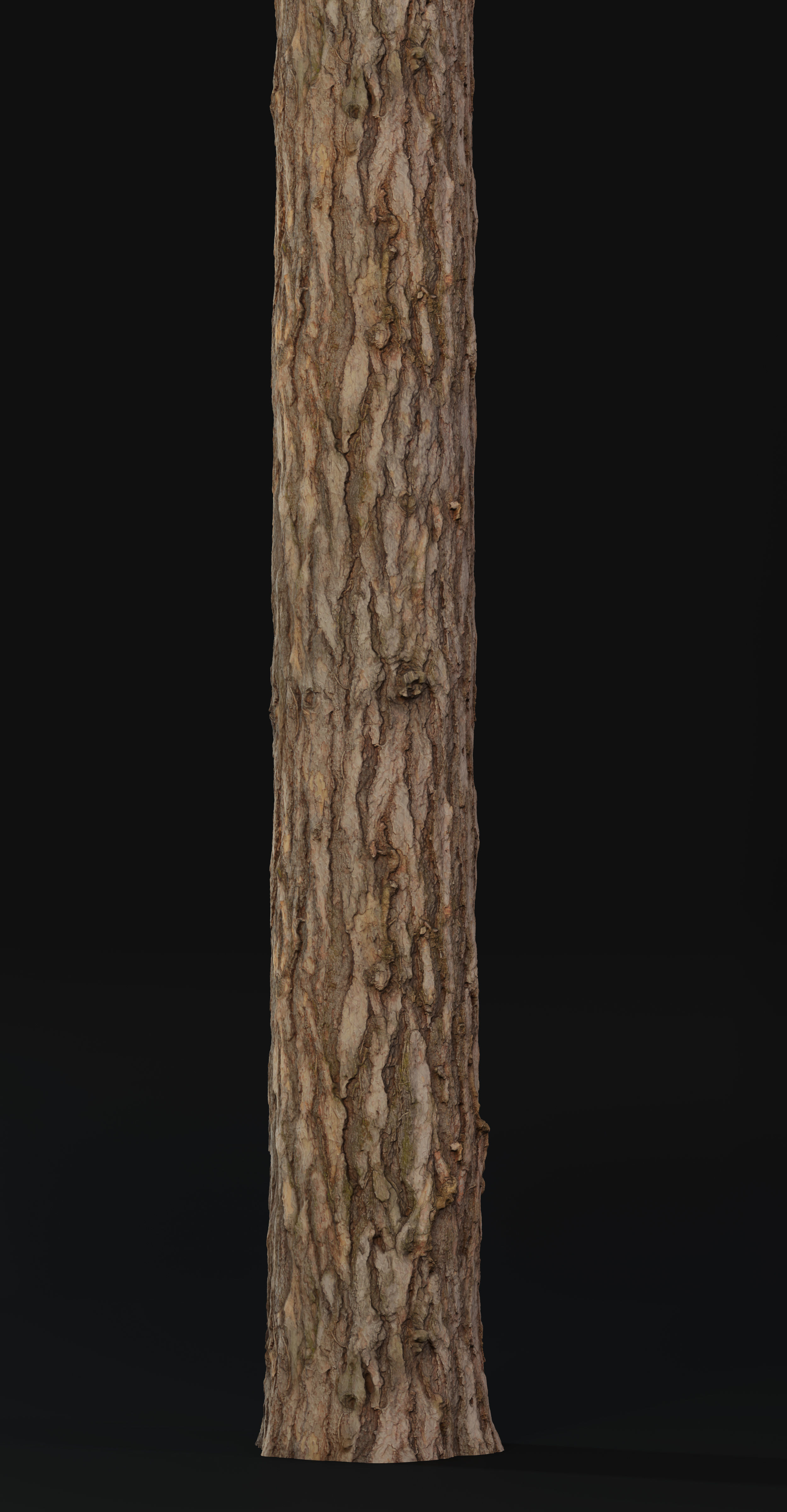 Pine Texture 8K PBR Texture_16