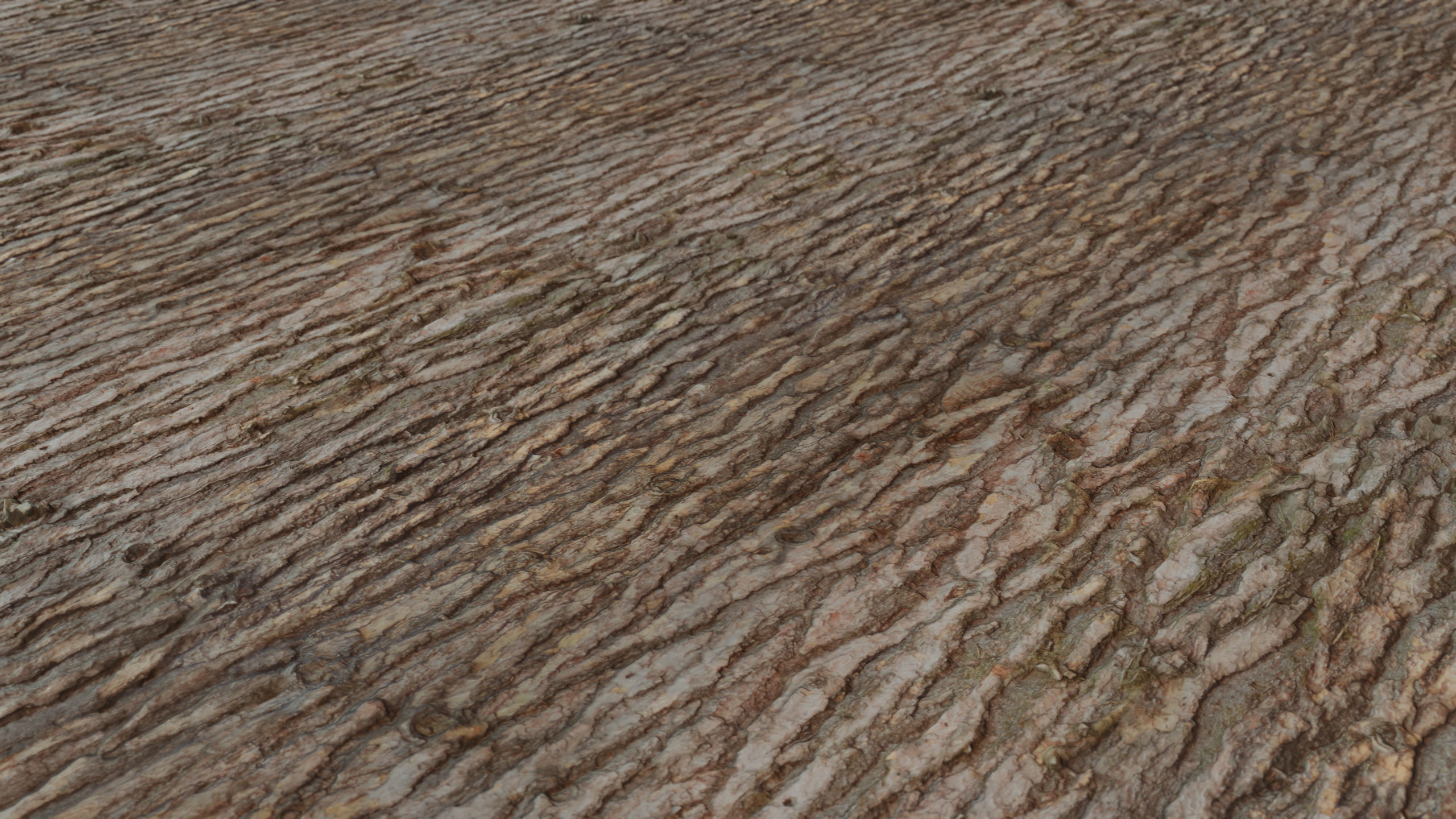 Pine Texture 8K PBR Texture_2