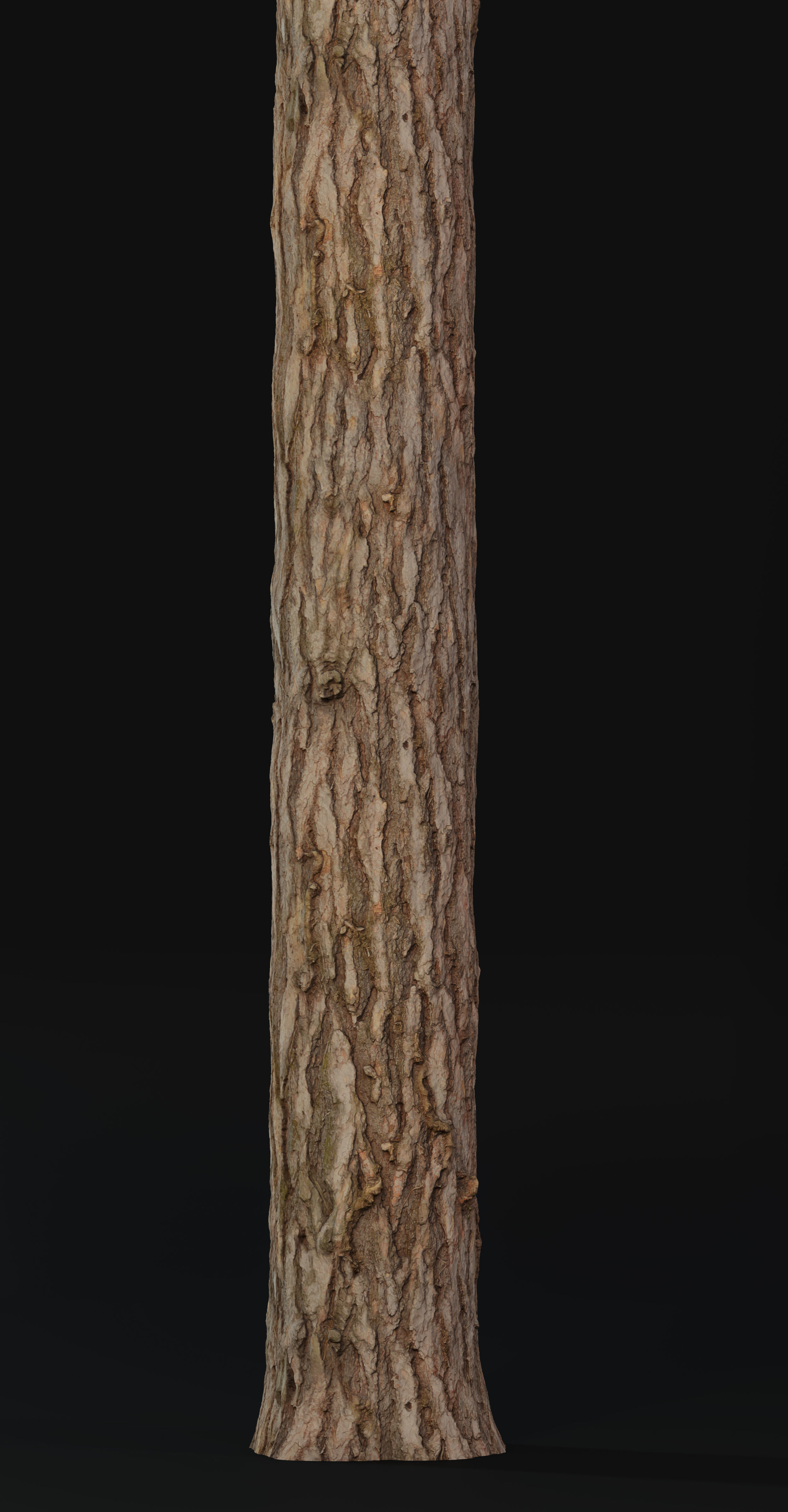 Pine Texture 8K PBR Texture_6