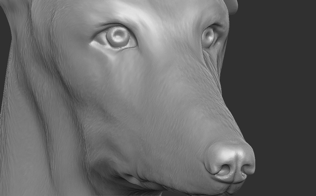 Greyhound dog head for 3D printing 3D print model_18