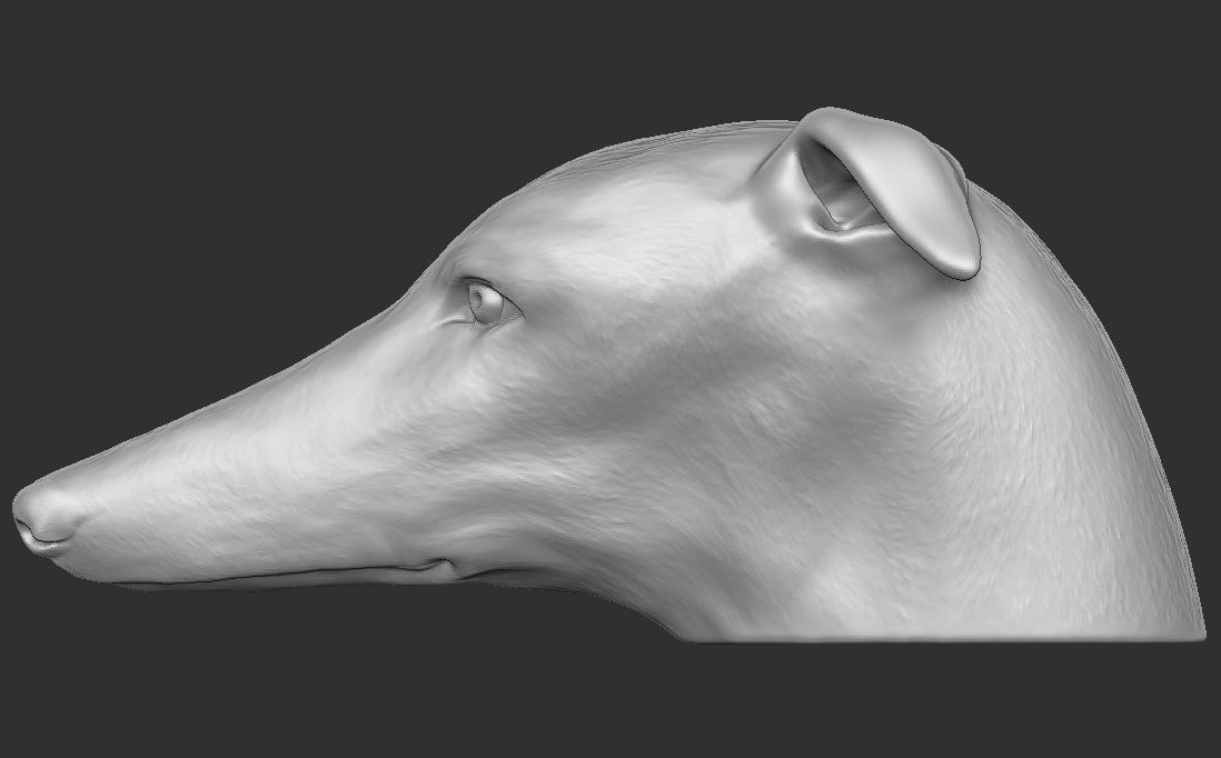 Greyhound dog head for 3D printing 3D print model_14