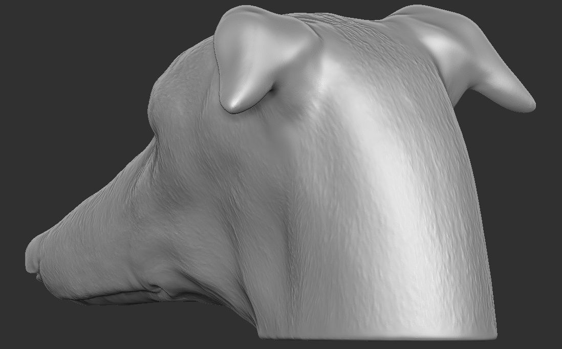 Greyhound dog head for 3D printing 3D print model_13