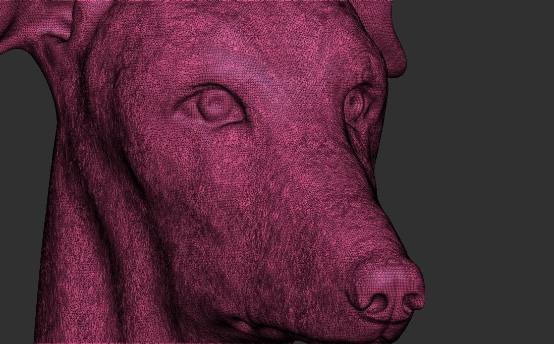 Greyhound dog head for 3D printing 3D print model_23