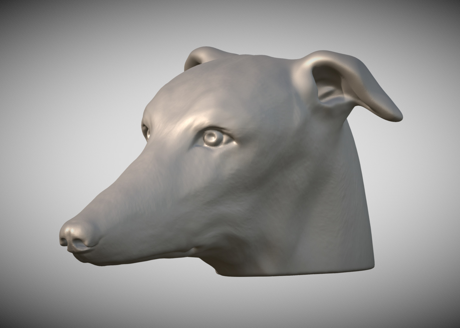 Greyhound dog head for 3D printing 3D print model_2