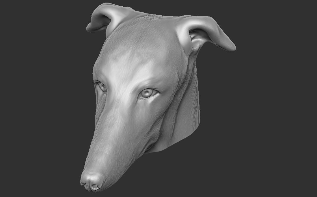 Greyhound dog head for 3D printing 3D print model_22