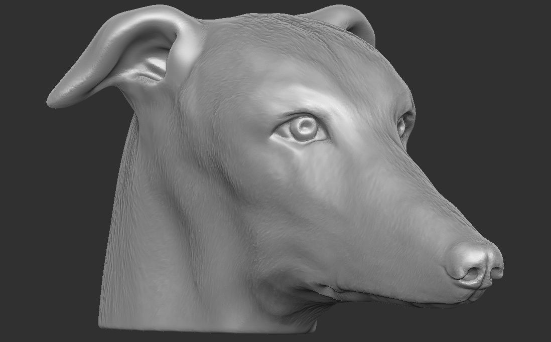 Greyhound dog head for 3D printing 3D print model_7