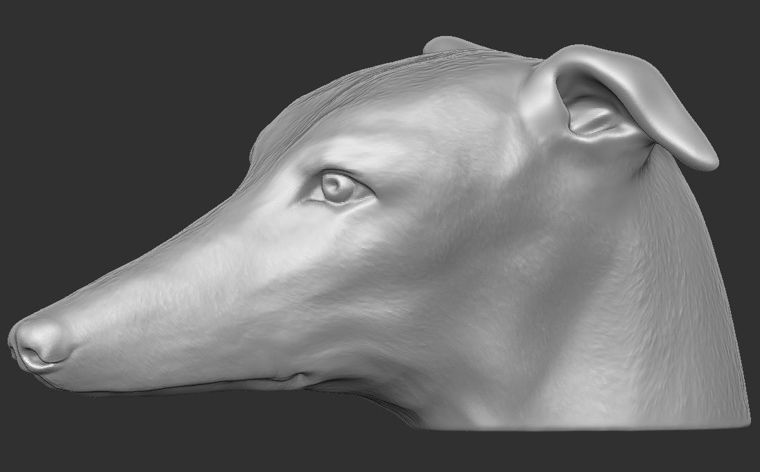 Greyhound dog head for 3D printing 3D print model_15