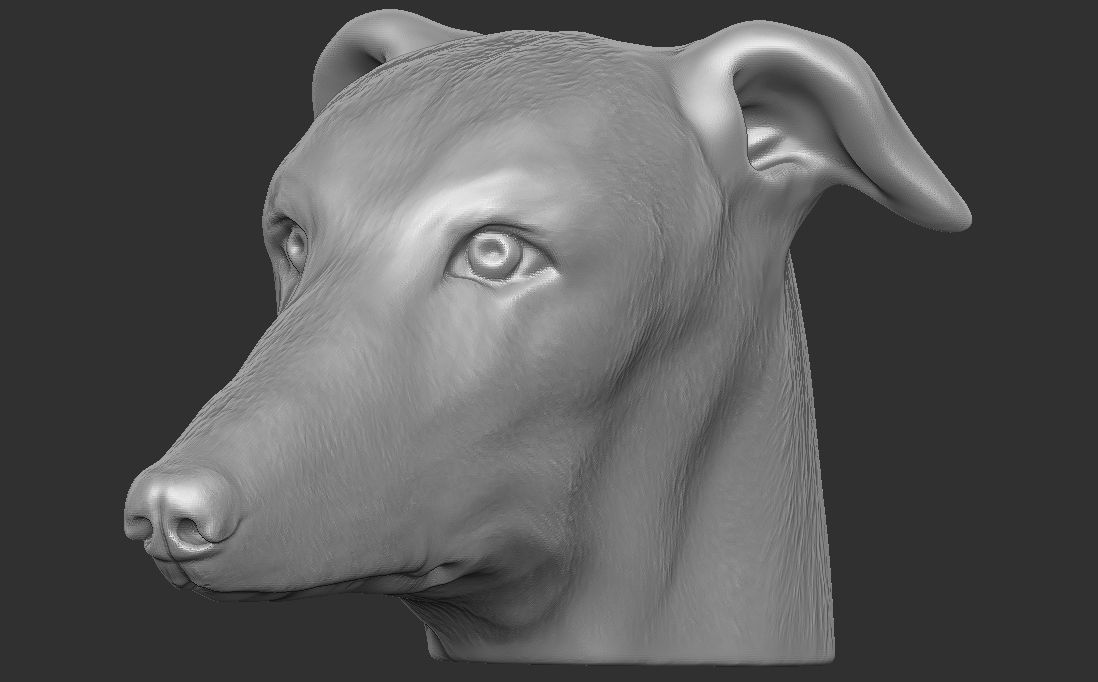 Greyhound dog head for 3D printing 3D print model_17