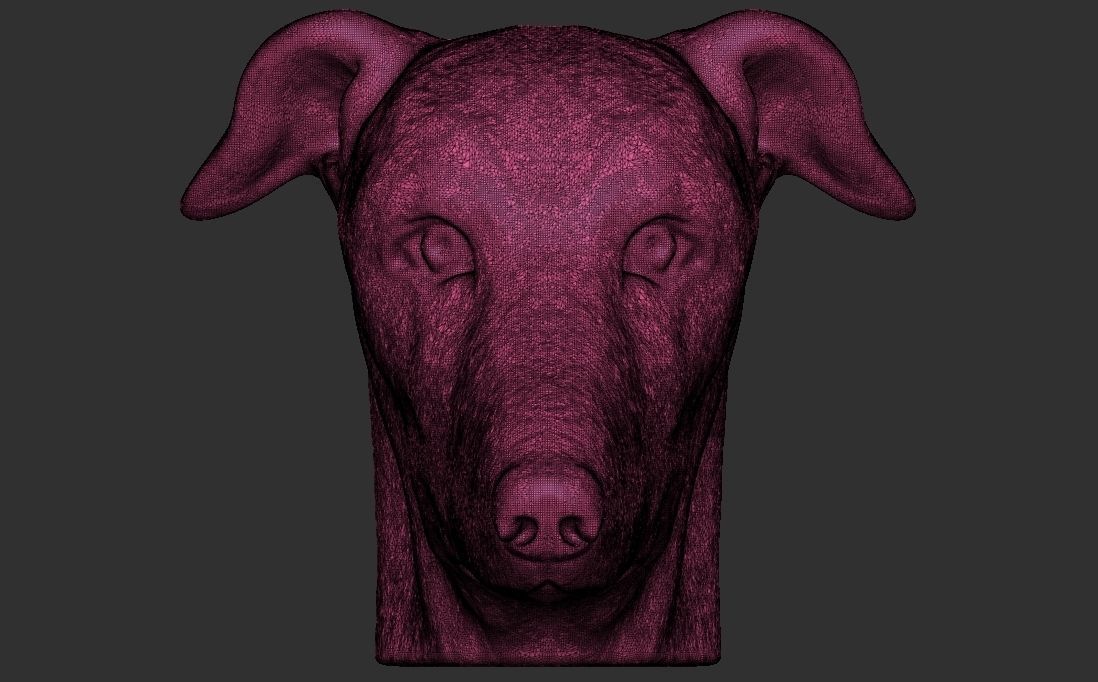 Greyhound dog head for 3D printing 3D print model_24