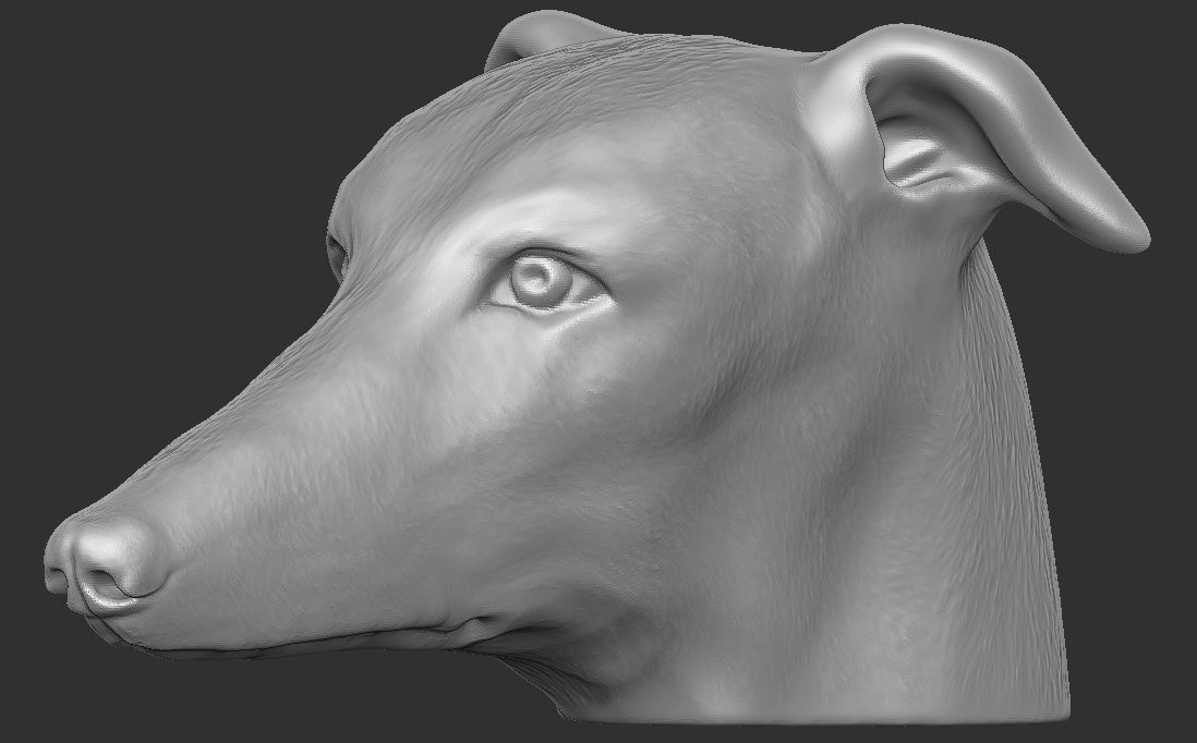 Greyhound dog head for 3D printing 3D print model_16