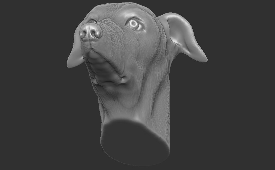 Greyhound dog head for 3D printing 3D print model_19
