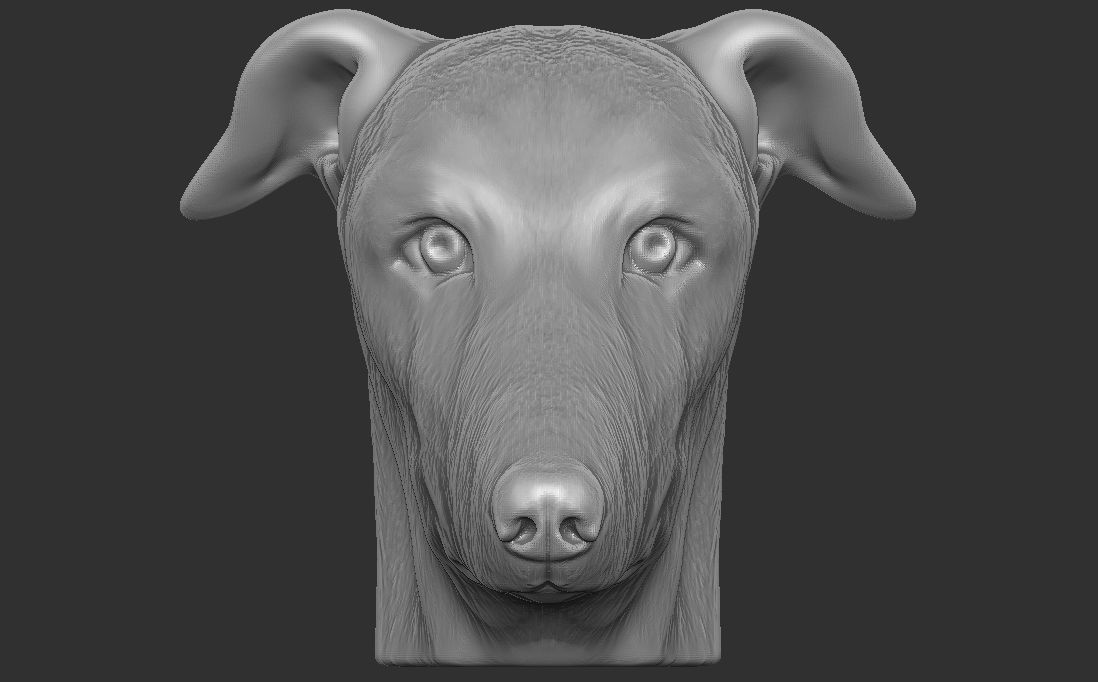 Greyhound dog head for 3D printing 3D print model_5