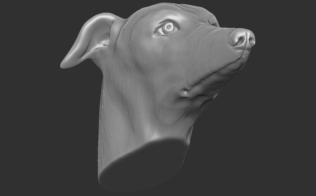 Greyhound dog head for 3D printing 3D print model_20