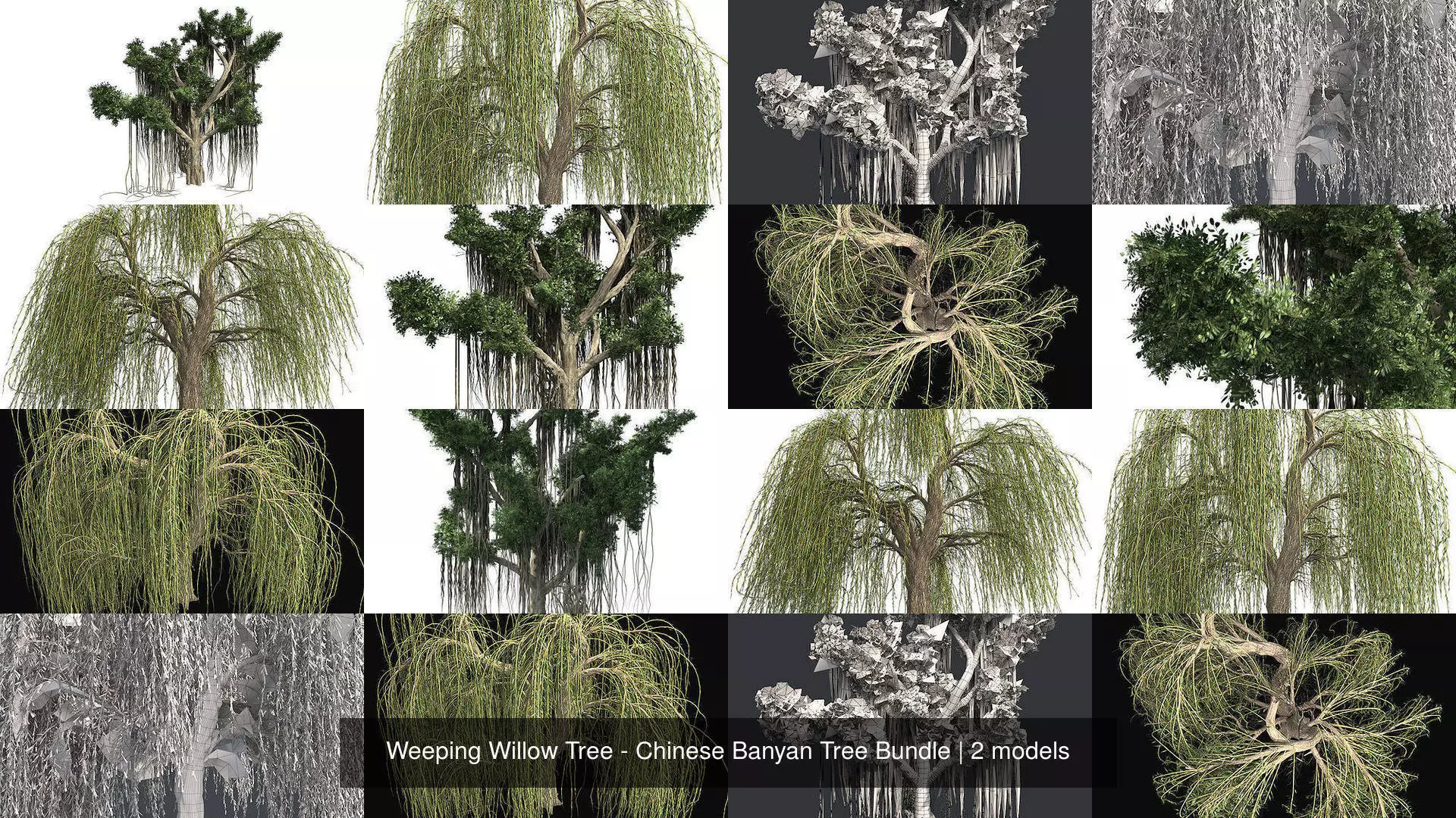 Weeping Willow Tree - Chinese Banyan Tree Bundle 3D Model Collection_0