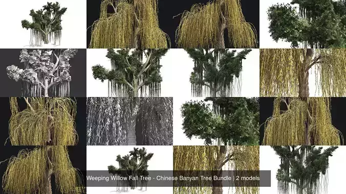Weeping Willow Fall Tree - Chinese Banyan Tree Bundle 3D Model Collection