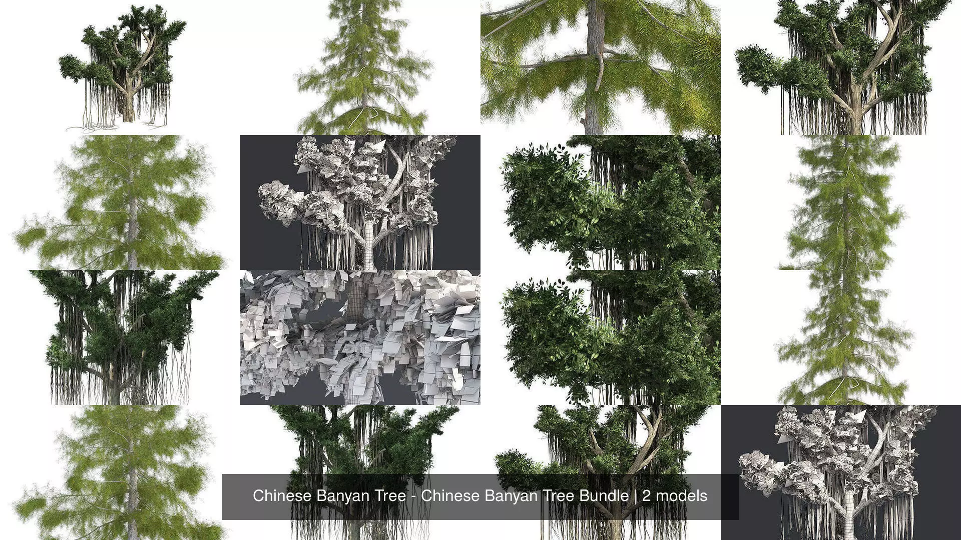 Chinese Banyan Tree - Chinese Banyan Tree Bundle 3D Model Collection_0