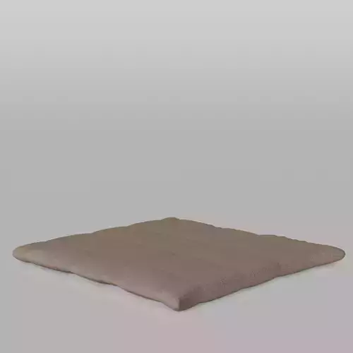 Sally Low-poly 3D model
