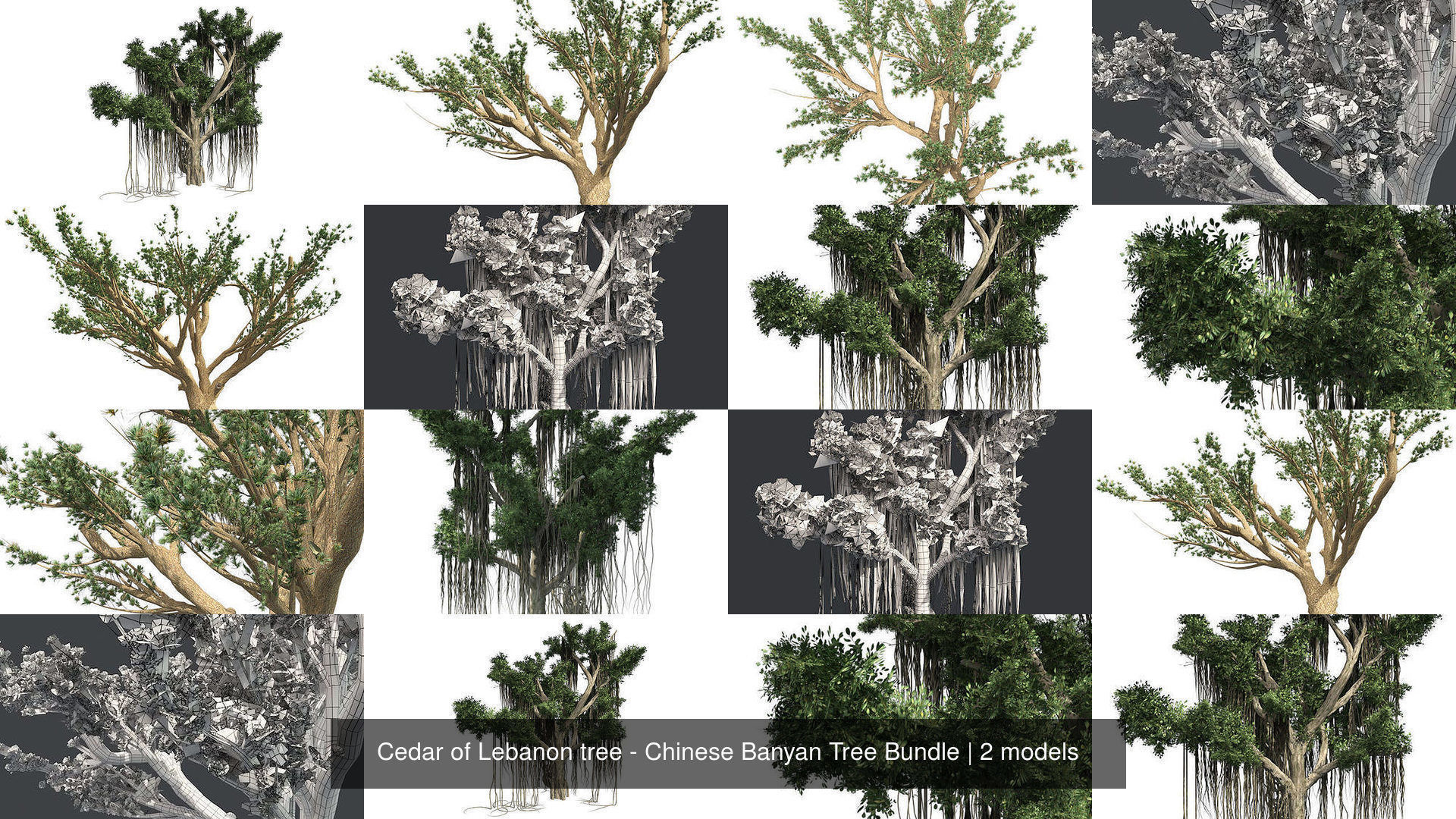 3D Model Collection Cedar of Lebanon tree Chinese Banyan Tree Bundle
