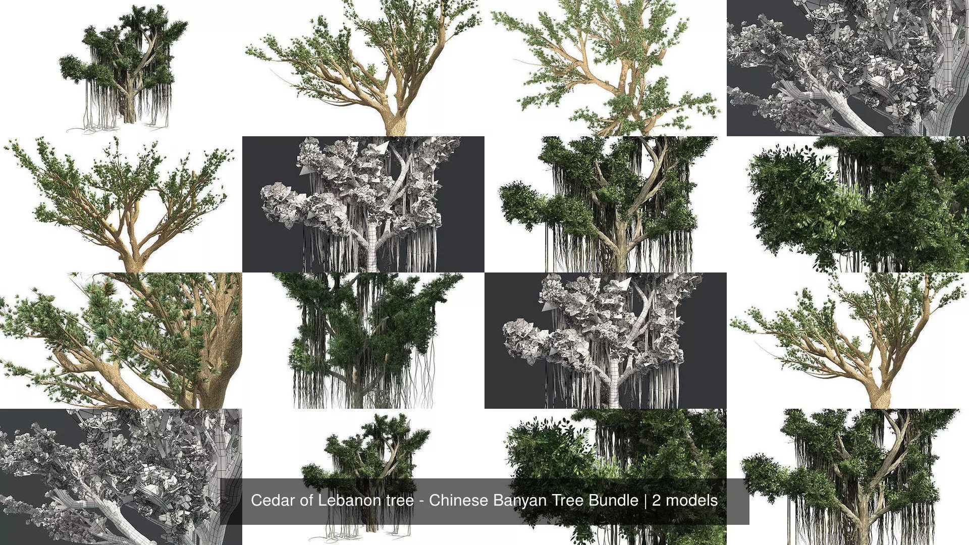 Cedar of Lebanon tree - Chinese Banyan Tree Bundle 3D Model Collection_0
