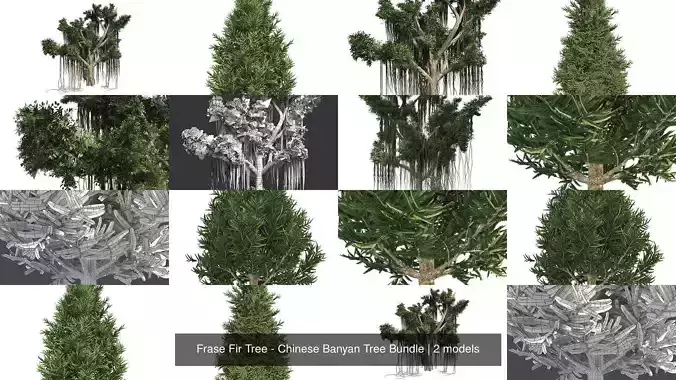 Frase Fir Tree - Chinese Banyan Tree Bundle 3D Model Collection