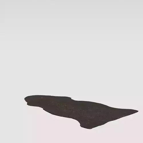 Genuine Sheepskin Carpet