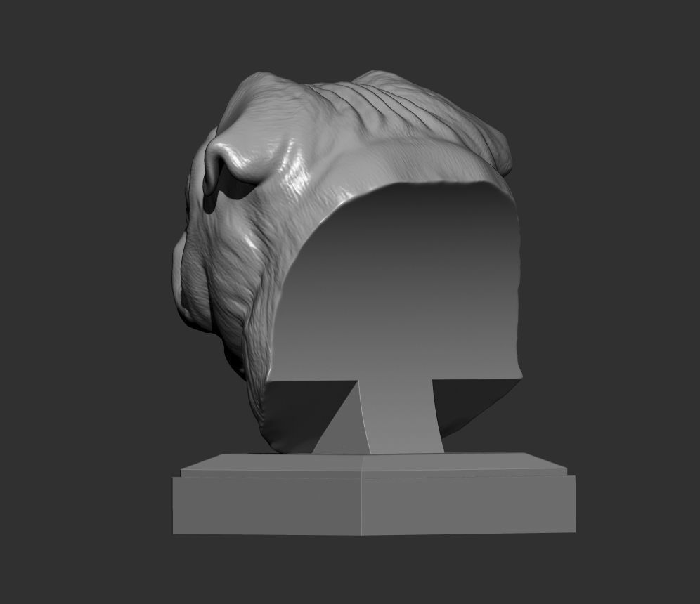 Pug for 3D printing 3D print model_7