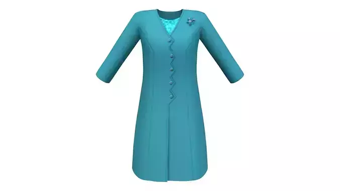 Blue Long Coat Dress