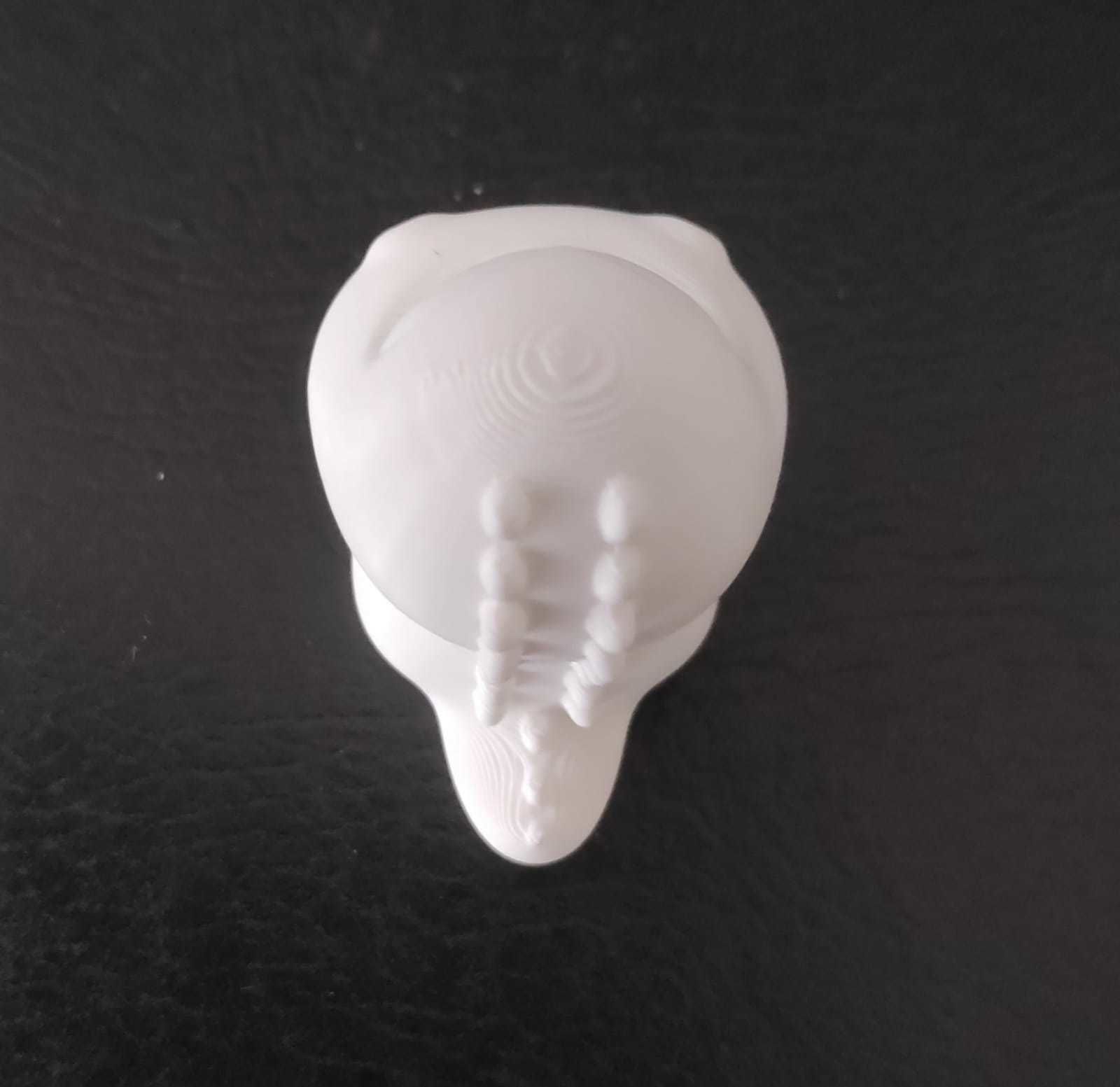 Cute Little Alligator 3D print model_9