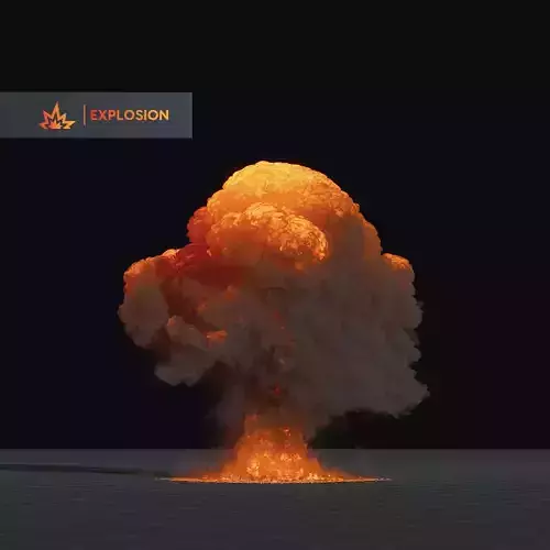 Big Fuel Explosion 3D Animation 3D model