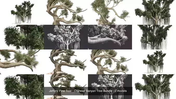 Jeffery Pine Tree - Chinese Banyan Tree Bundle 3D Model Collection