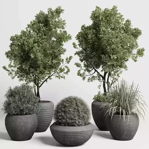 outdoor plant set 152 plant tree grass vase dirty concrete