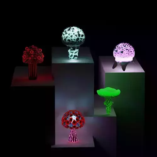 Luminous mushrooms