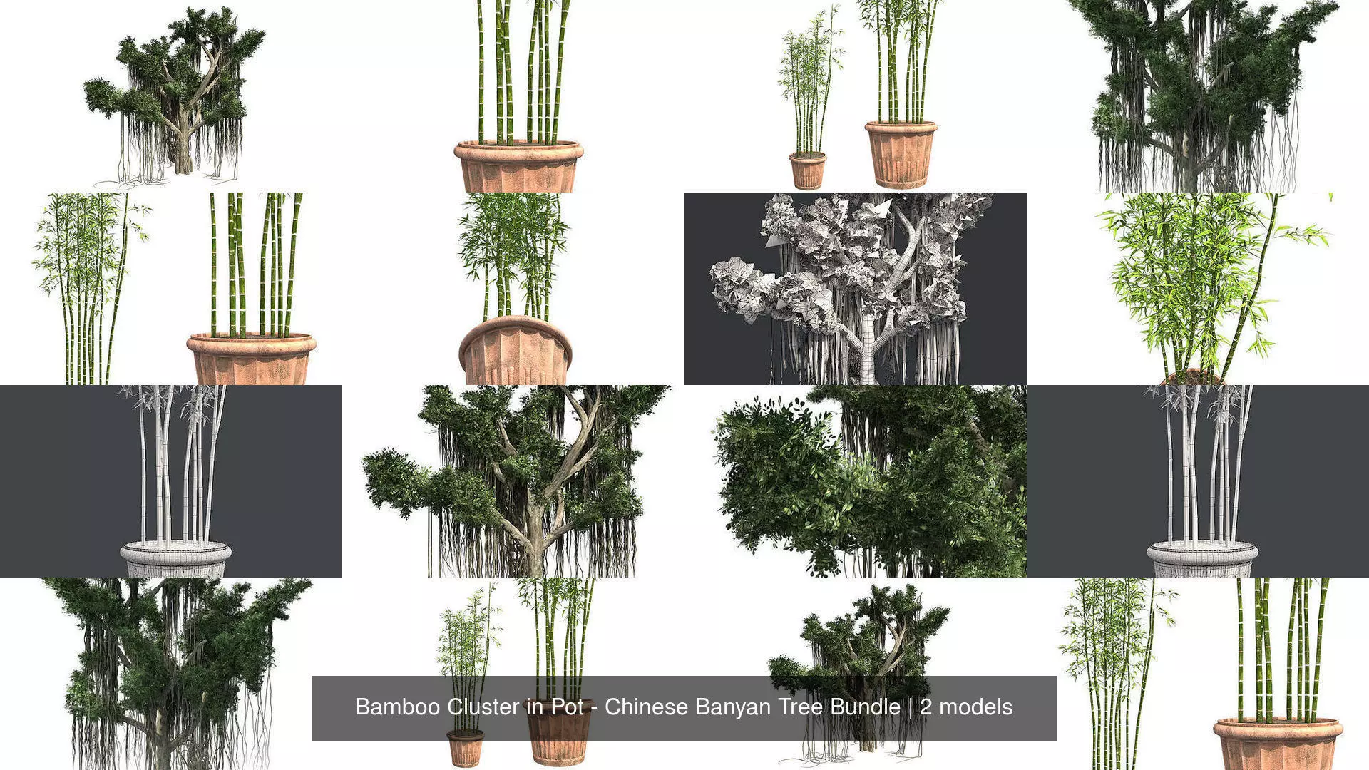Bamboo Cluster in Pot - Chinese Banyan Tree Bundle 3D Model Collection_0